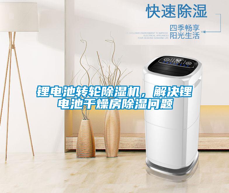 鋰電池轉(zhuǎn)輪除濕機(jī)，解決鋰電池干燥房除濕問題