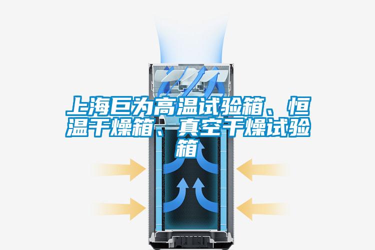 上海巨為高溫試驗(yàn)箱、恒溫干燥箱、真空干燥試驗(yàn)箱