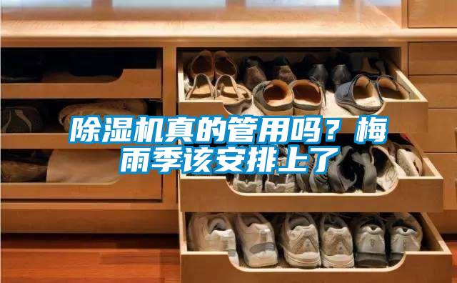 除濕機(jī)真的管用嗎？梅雨季該安排上了