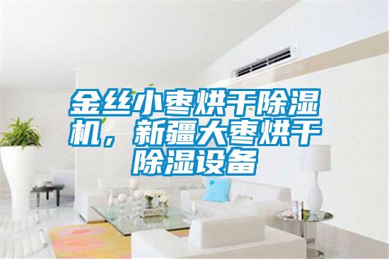 金絲小棗烘干除濕機(jī)，新疆大棗烘干除濕設(shè)備