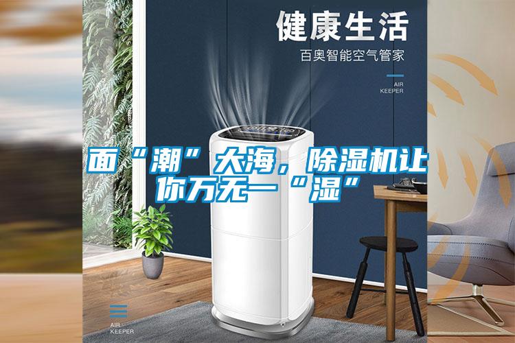 面“潮”大海，除濕機(jī)讓你萬(wàn)無(wú)一“濕”