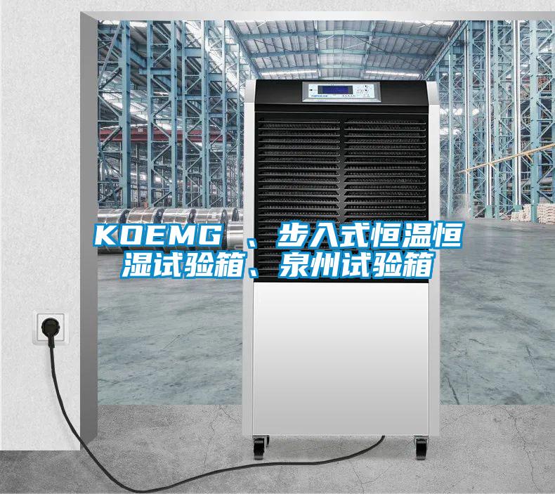 KOEMG 、步入式恒溫恒濕試驗箱、泉州試驗箱