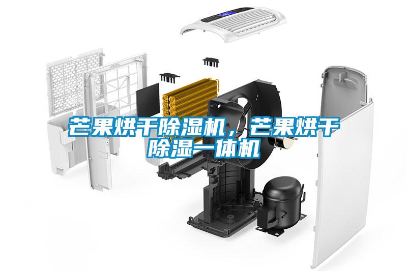 芒果烘干除濕機，芒果烘干除濕一體機