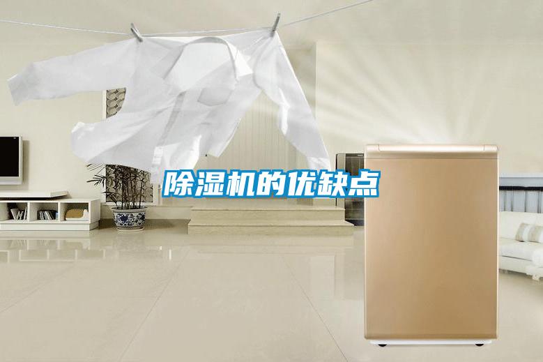 除濕機(jī)的優(yōu)缺點