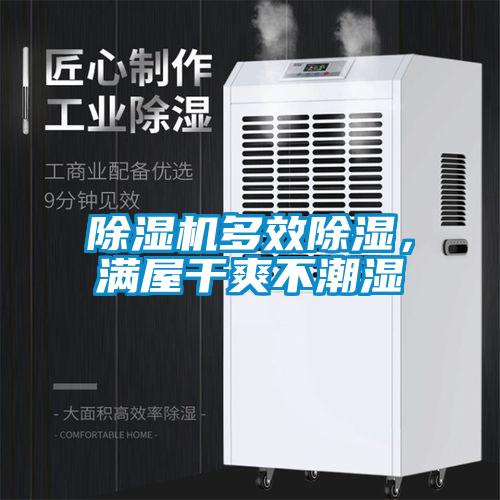 除濕機多效除濕，滿屋干爽不潮濕