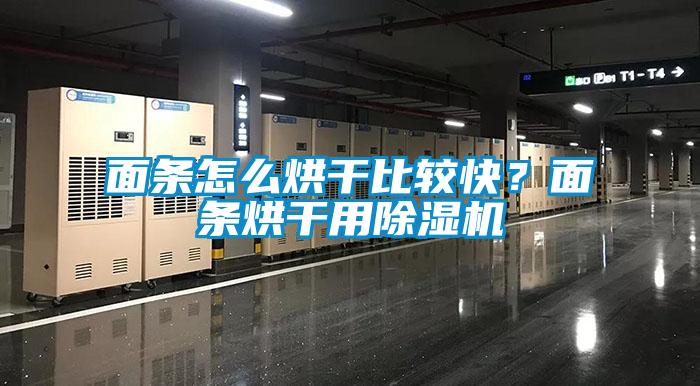 面條怎么烘干比較快？面條烘干用除濕機(jī)