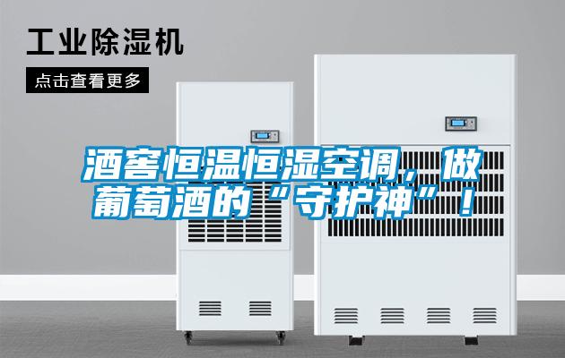 酒窖恒溫恒濕空調(diào)，做葡萄酒的“守護(hù)神”！