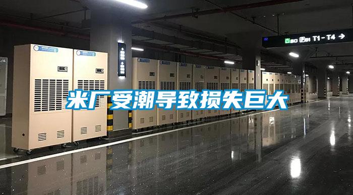 米廠受潮導致?lián)p失巨大
