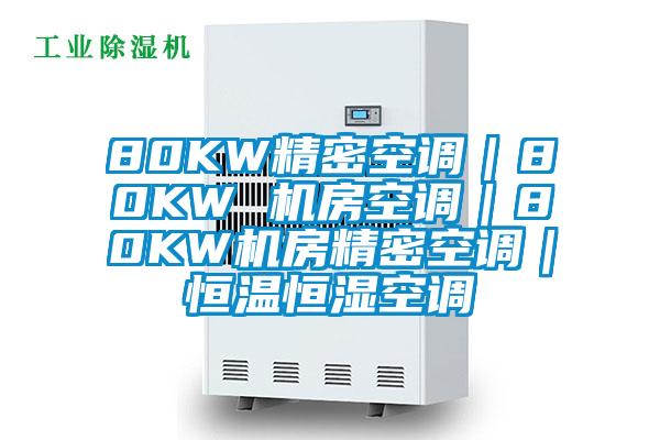 80KW精密空調(diào)｜80KW 機房空調(diào)｜80KW機房精密空調(diào)｜恒溫恒濕空調(diào)