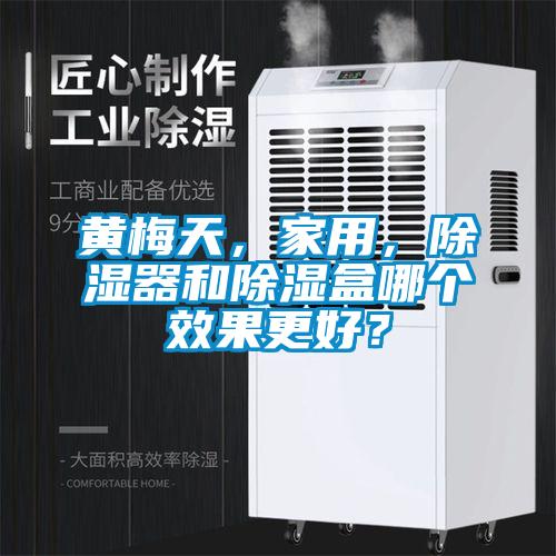 黃梅天，家用，除濕器和除濕盒哪個(gè)效果更好？
