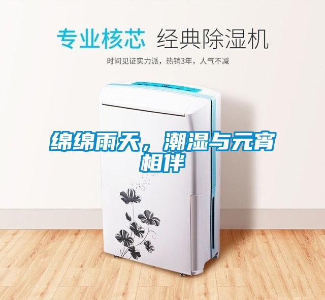 綿綿雨天，潮濕與元宵相伴