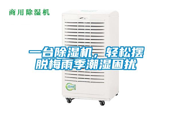 一臺除濕機，輕松擺脫梅雨季潮濕困擾