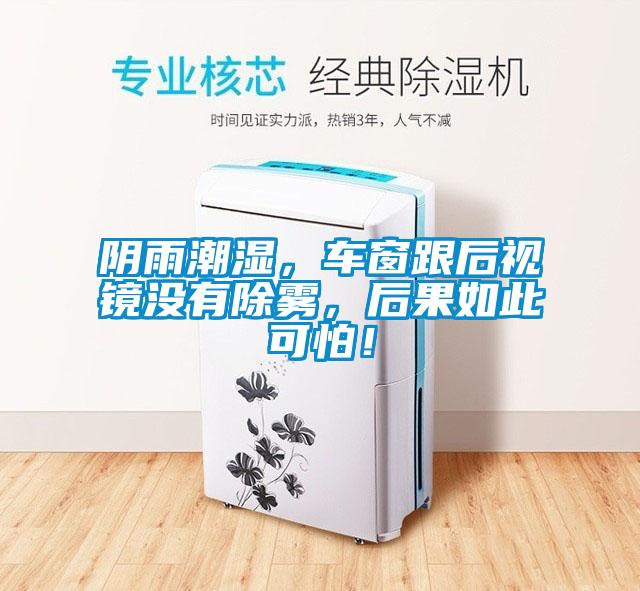 陰雨潮濕，車窗跟后視鏡沒有除霧，后果如此可怕！