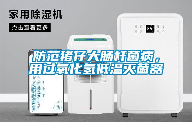 防范豬仔大腸桿菌病，用過氧化氫低溫滅菌器