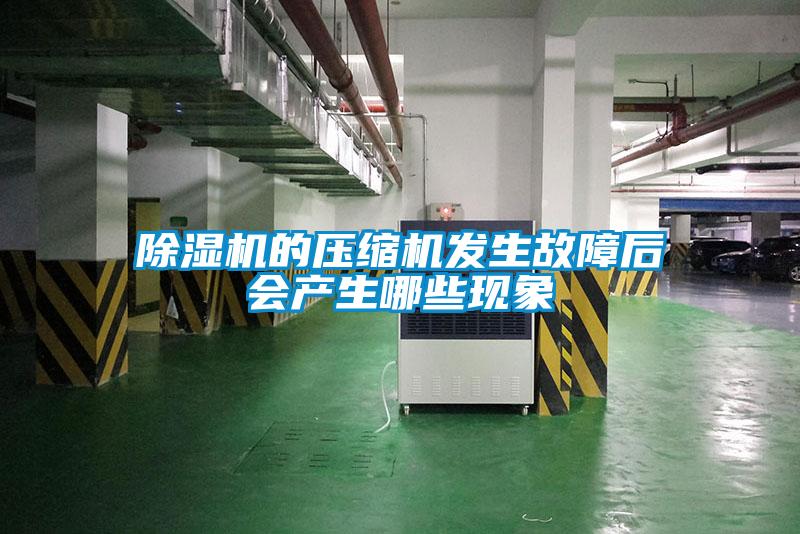 除濕機(jī)的壓縮機(jī)發(fā)生故障后會產(chǎn)生哪些現(xiàn)象
