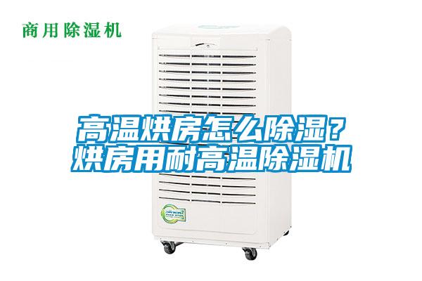 高溫烘房怎么除濕？烘房用耐高溫除濕機(jī)