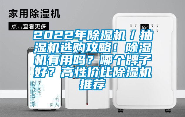 2022年除濕機(jī)／抽濕機(jī)選購(gòu)攻略！除濕機(jī)有用嗎？哪個(gè)牌子好？高性價(jià)比除濕機(jī)推薦