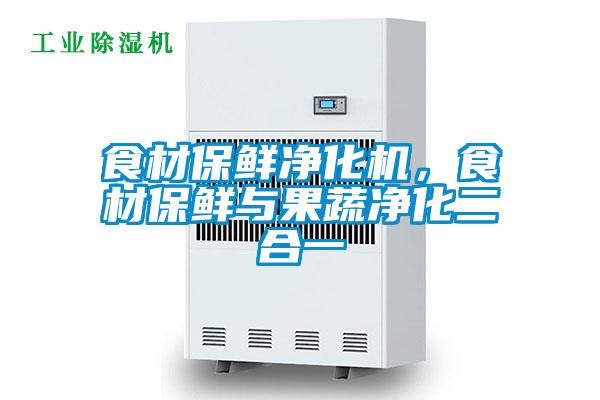食材保鮮凈化機，食材保鮮與果蔬凈化二合一
