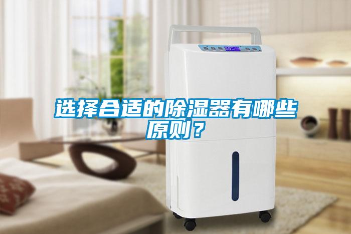 選擇合適的除濕器有哪些原則？