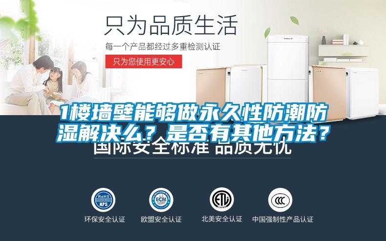 1樓墻壁能夠做永久性防潮防濕解決么？是否有其他方法？
