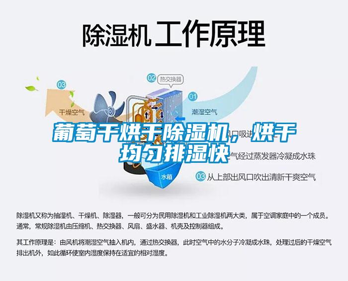 葡萄干烘干除濕機，烘干均勻排濕快