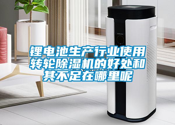 鋰電池生產行業(yè)使用轉輪除濕機的好處和其不足在哪里呢