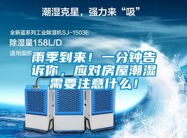 雨季到來！一分鐘告訴你，應對房屋潮濕需要注意什么！