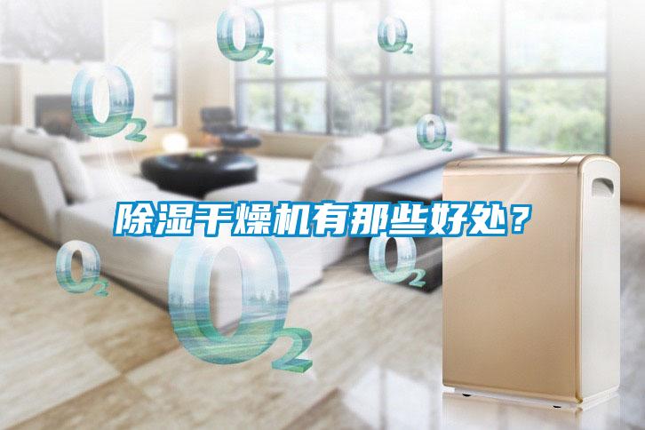 除濕干燥機(jī)有那些好處？