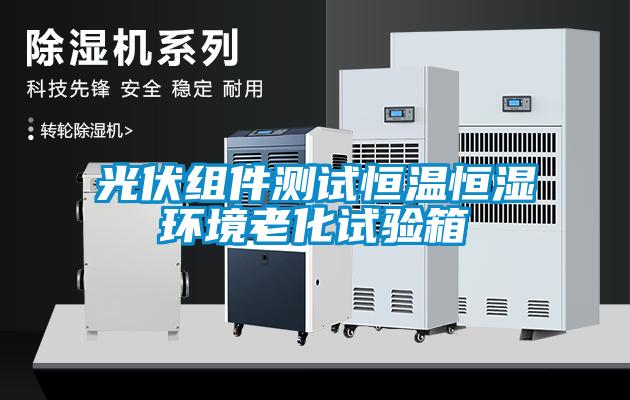 光伏組件測試恒溫恒濕環(huán)境老化試驗箱