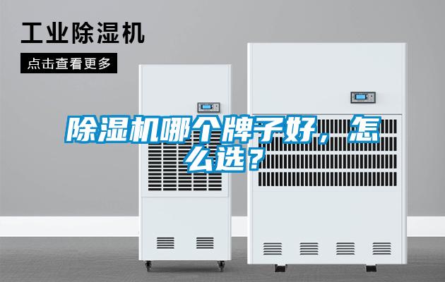 除濕機哪個牌子好，怎么選？