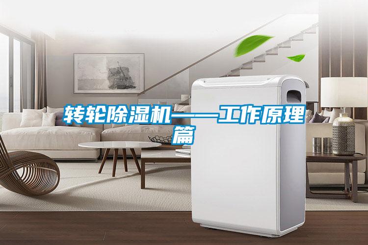 轉(zhuǎn)輪除濕機——工作原理篇