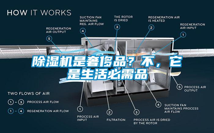 除濕機(jī)是奢侈品？不，它是生活必需品