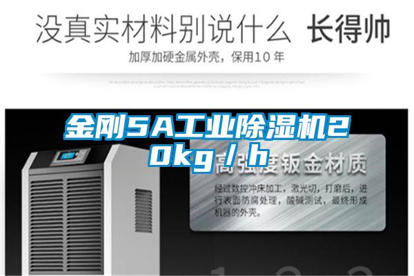 金剛5A工業(yè)除濕機(jī)20kg／h