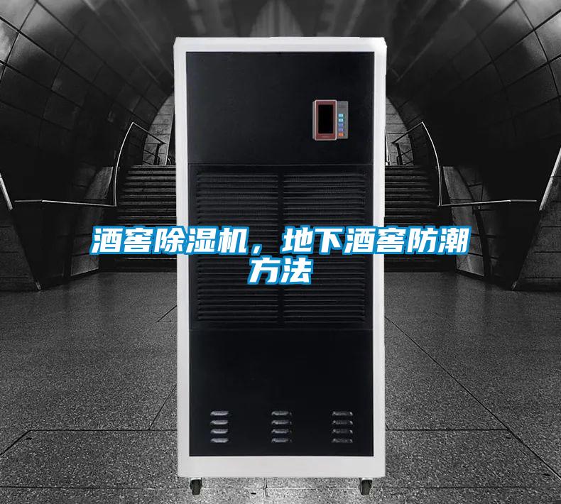 酒窖除濕機，地下酒窖防潮方法