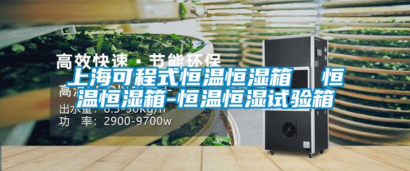 上?？沙淌胶銣睾銤裣? 恒溫恒濕箱-恒溫恒濕試驗箱