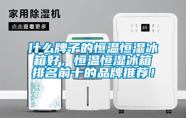 什么牌子的恒溫恒濕冰箱好，恒溫恒濕冰箱排名前十的品牌推薦！
