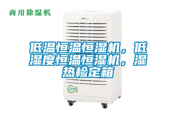 低溫恒溫恒濕機(jī)，低濕度恒溫恒濕機(jī)，濕熱檢定箱