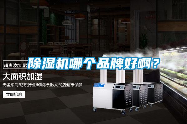 除濕機(jī)哪個(gè)品牌好???
