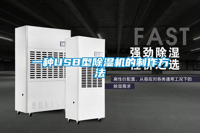 一種USB型除濕機(jī)的制作方法
