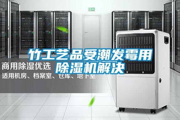 竹工藝品受潮發(fā)霉用除濕機解決