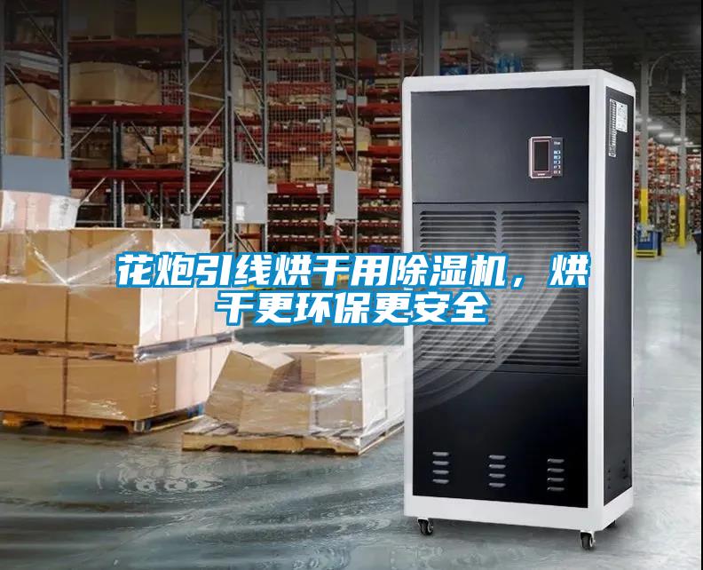 花炮引線烘干用除濕機，烘干更環(huán)保更安全