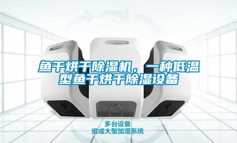 魚干烘干除濕機(jī)，一種低溫型魚干烘干除濕設(shè)備