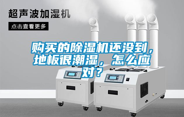 購買的除濕機(jī)還沒到,地板很潮濕,怎么應(yīng)對?