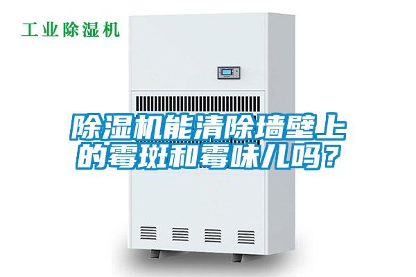 除濕機能清除墻壁上的霉斑和霉味兒嗎？