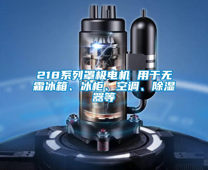218系列罩極電機(jī) 用于無(wú)霜冰箱、冰柜、空調(diào)、除濕器等