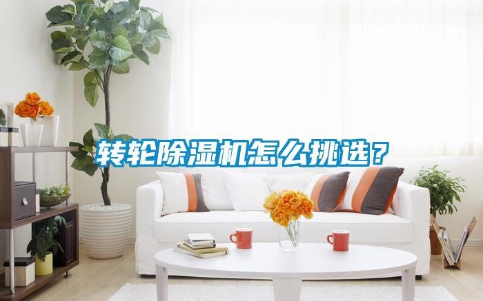 轉(zhuǎn)輪除濕機(jī)怎么挑選？