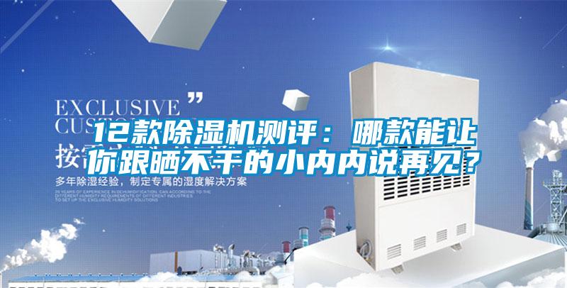 12款除濕機測評：哪款能讓你跟曬不干的小內內說再見？