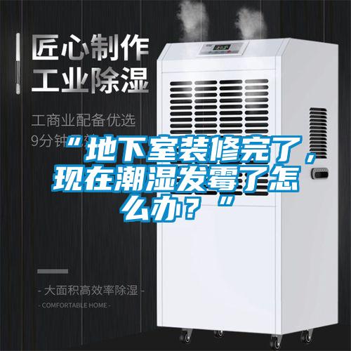 “地下室裝修完了，現(xiàn)在潮濕發(fā)霉了怎么辦？”