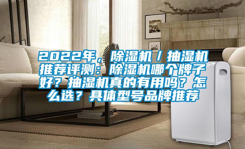2022年，除濕機／抽濕機推薦評測：除濕機哪個牌子好？抽濕機真的有用嗎？怎么選？具體型號品牌推薦