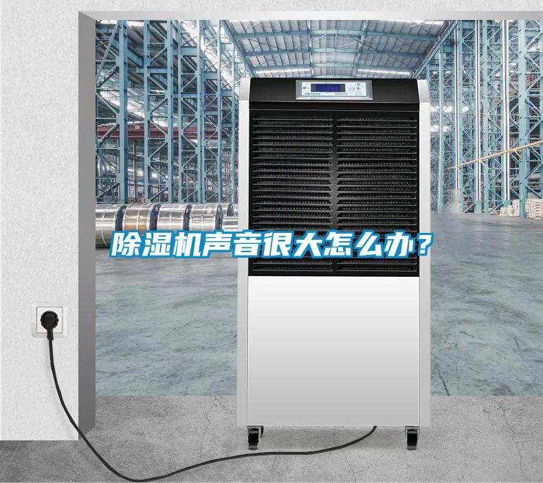 除濕機聲音很大怎么辦？